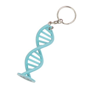 Llavero científico - ADN